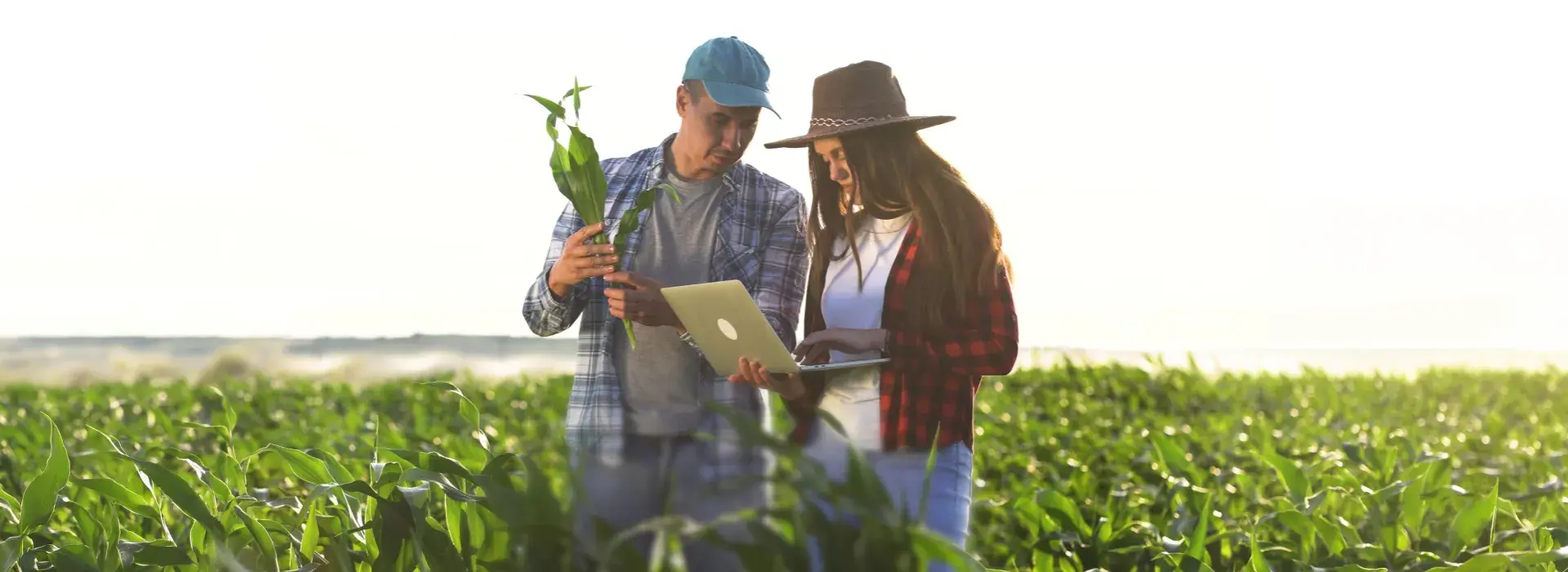 Diplomado en Agricultura Sostenible y Adaptación Climática