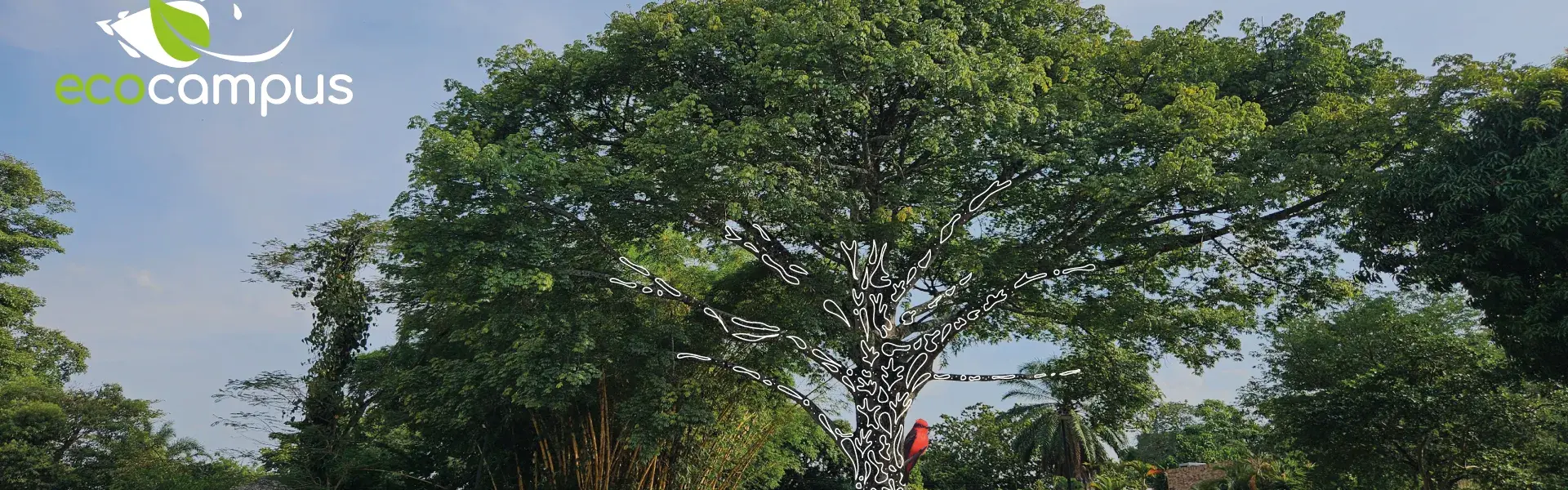 Ecocampus 
