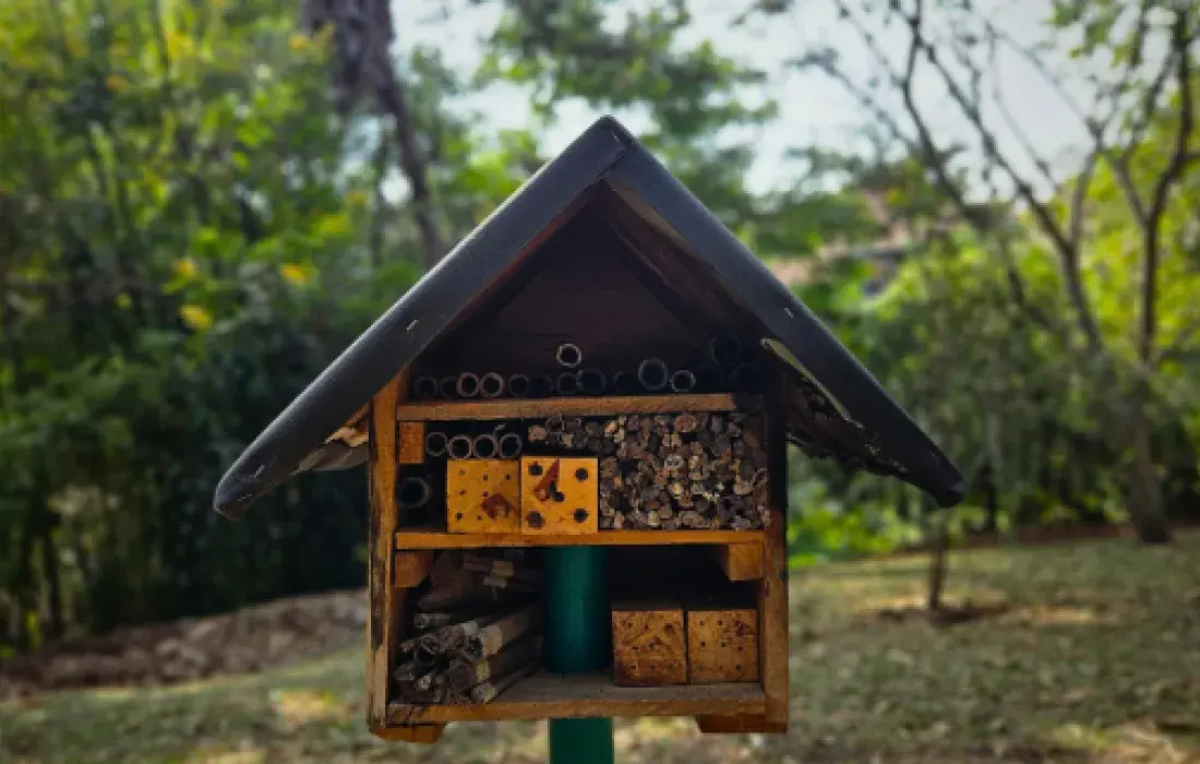 Cuidado de las abejas