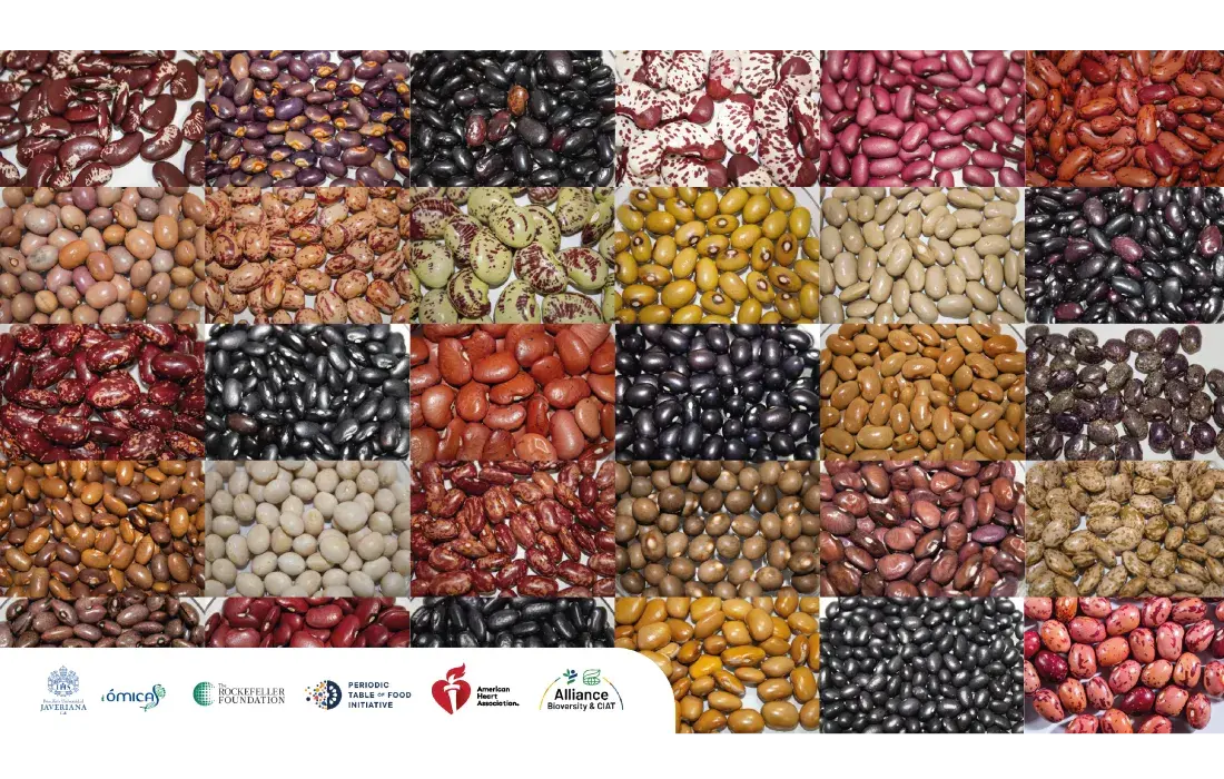 Frijoles