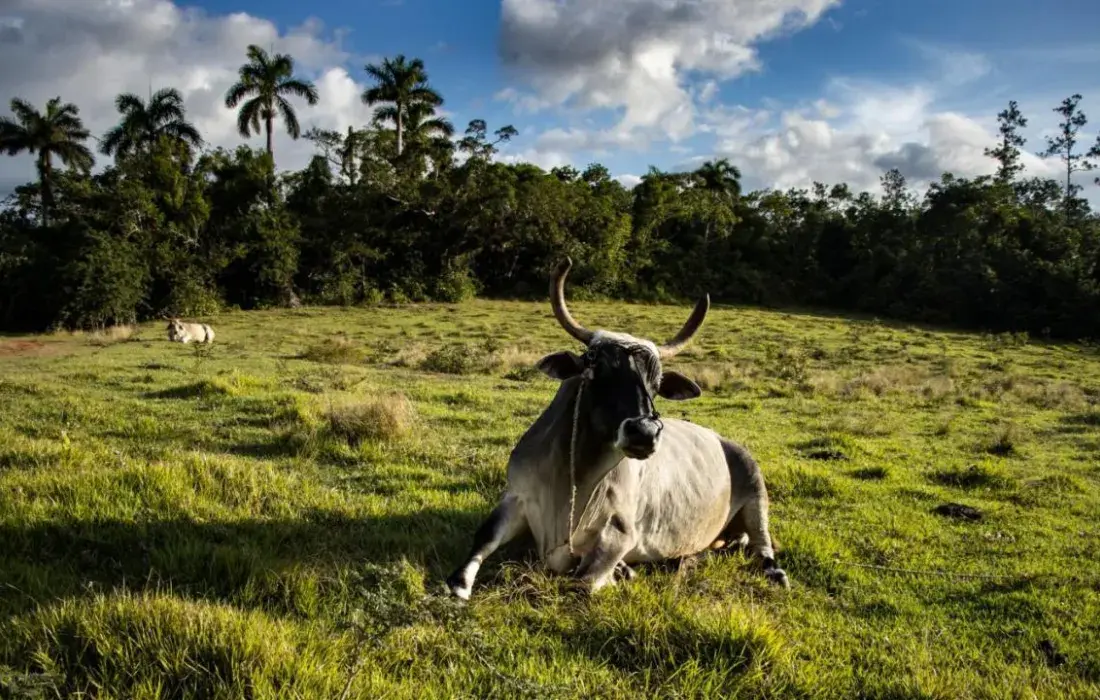 Imagen-NoticiaAgro