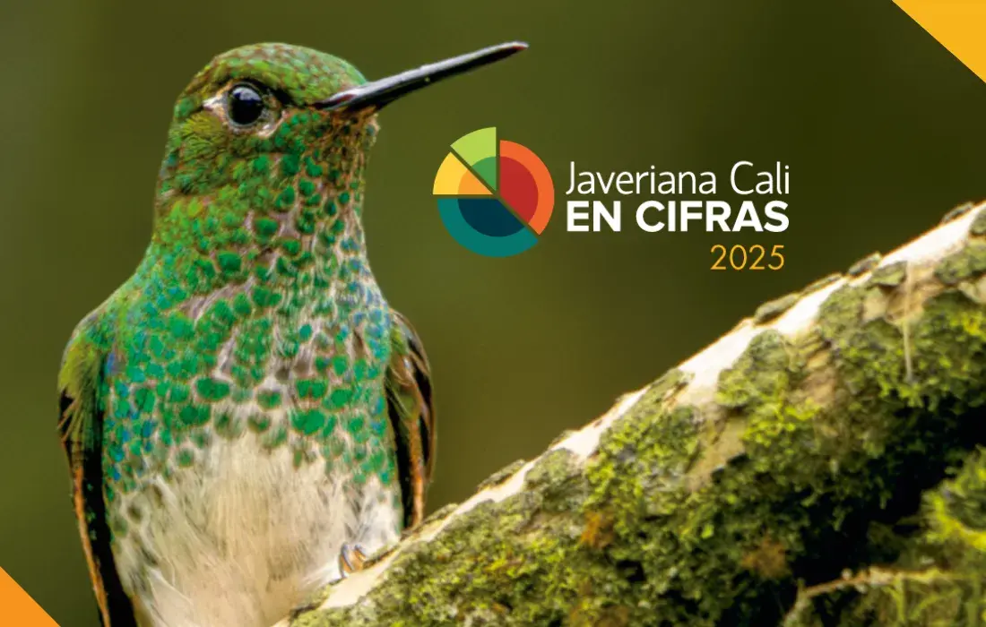 Javeriana Cifras 2025