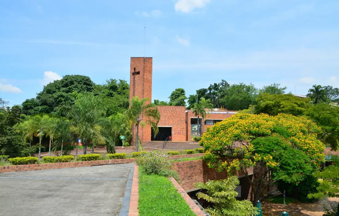World University Rankings