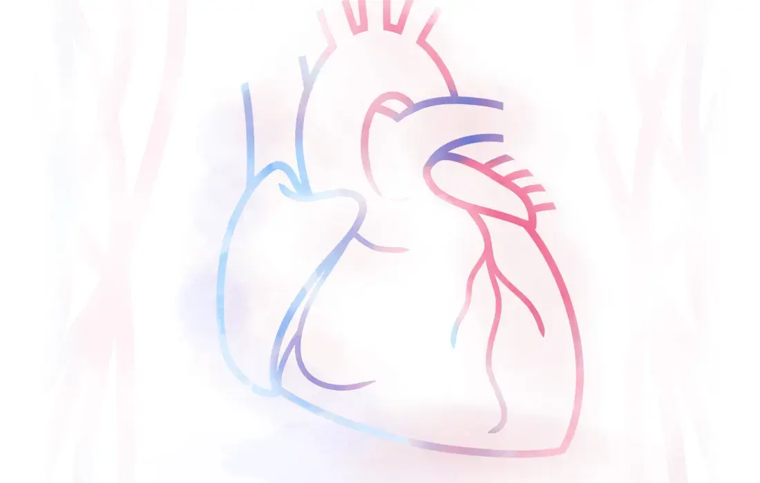 Así nació el libro con el que la Javeriana Cali fortalece la enseñanza del sistema cardiovascular 