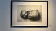  Estudiantes de Artes Visuales exploraron la memoria en la exposición 'Huellas entre lápiz y agua'