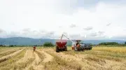 fortalecer las economías propias