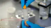 Muestra de un chontaduro realizada en el Instituto de Investigación en Ciencias Ómicas, iÓmicas