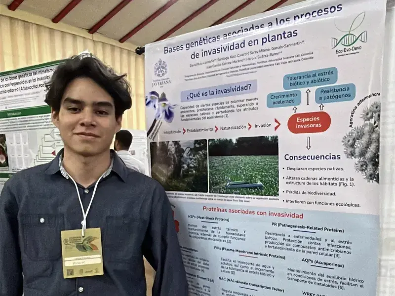 Botánica