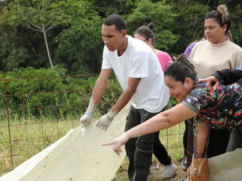 Se abren las inscripciones para el Diplomado en Educación y Gestión Ambiental 
