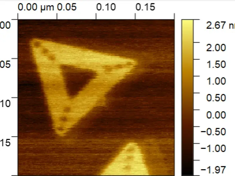 ADN en forma de triangulo