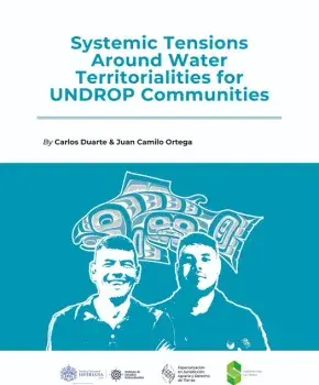 Systemic Tensions Around Water Territorialities for UNDROP Communities