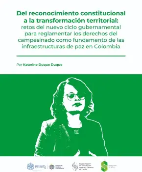 Del reconocimiento constitucional a la transformación territorial