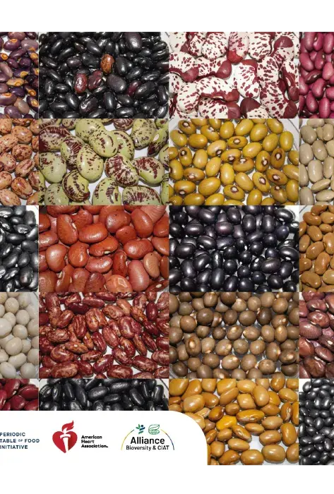 Frijoles 