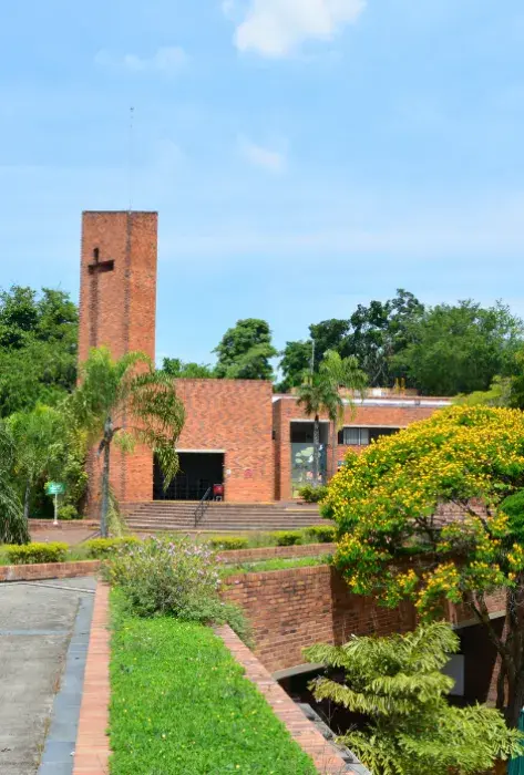World University Rankings