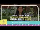 Embedded thumbnail for Estudia Comunicación en la Javeriana Cali > Elementos adicionales de la página > Galería > Content Multimedia Gallery